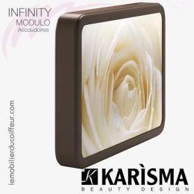 BACS DE LAVAGE - INFINITY Accoudoir image Karisma