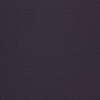 Aubergine