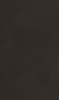 S38